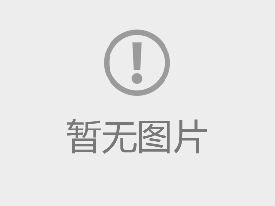习近平出席中央农村工作会议并发表重要讲话