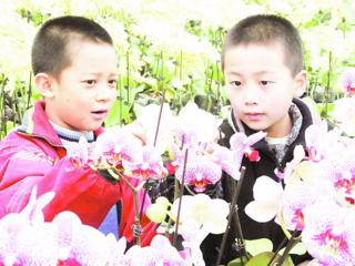 一二九团百花迎春