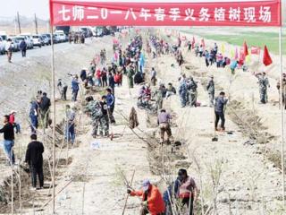 七师开展植树造林大会战