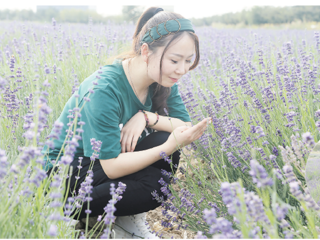 薰衣草花香醉游人