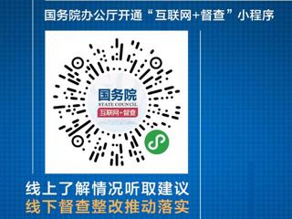 国务院“互联网+督查”