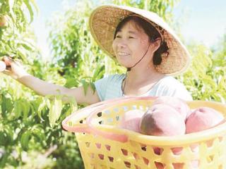 一二九团特色产业结硕果