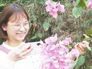 春暖花开游人醉