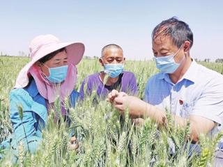 “两委”深入田间地头 当好职工“服务员”