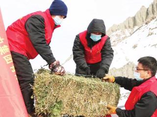 投放草料确保野生动物过冬