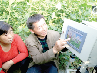 一三七团大棚种植智能化
