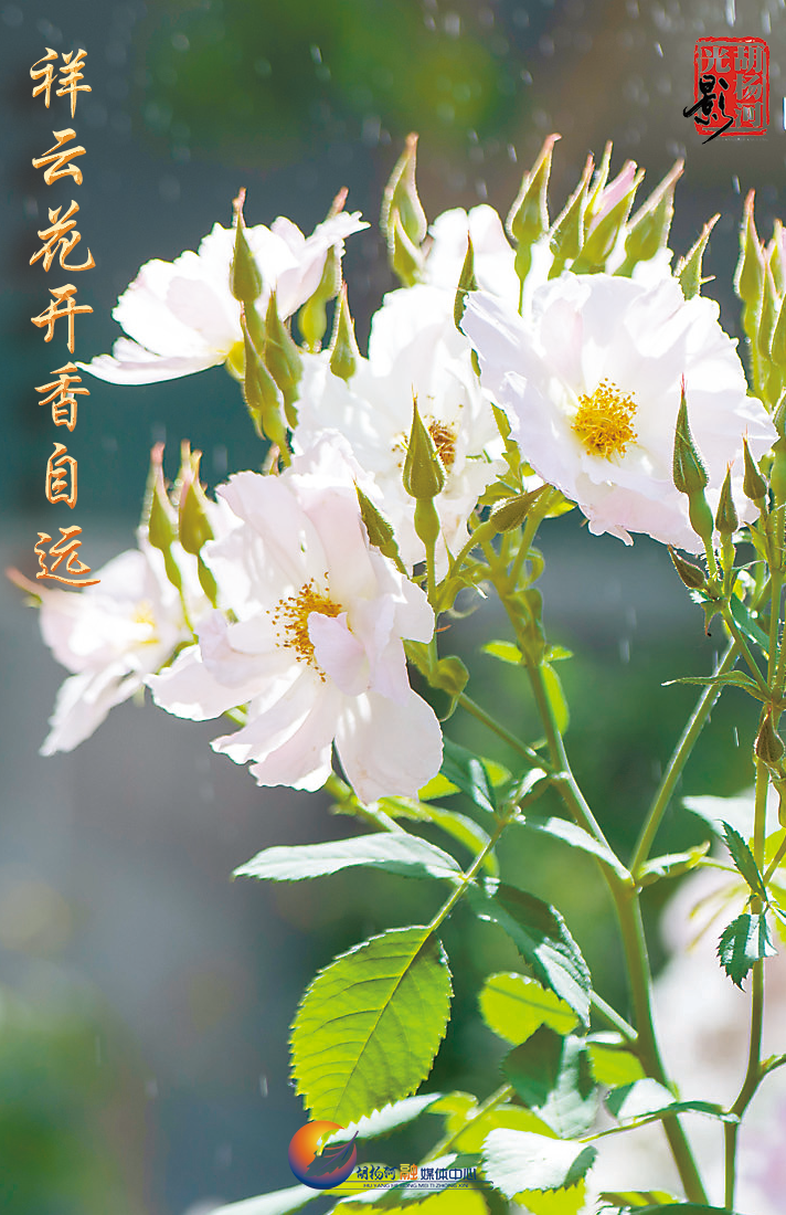 cb04ed1af2f84a30b8a168465eeb922c.png