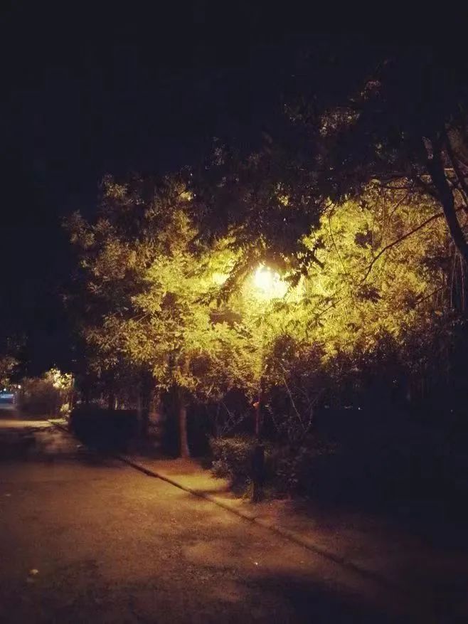 3a09533335de4a488163225d02759c4f.jpeg