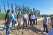 兵团高标准农田建设专项调研组赴126团检查指导工作
