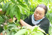 以买代帮！师市总工会消费帮扶职工增收