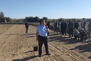 在二连召开冬小麦种植现场会