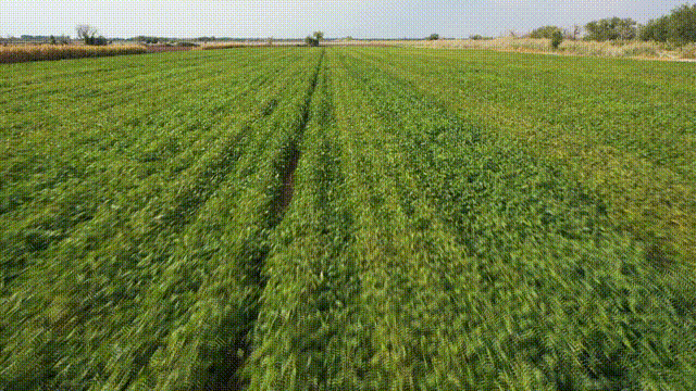 02ed34417a664443b6965f8f897e5870.gif