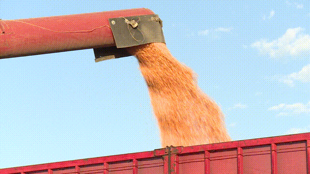 351aab5098114d01874c8b313d9fb3ad.gif