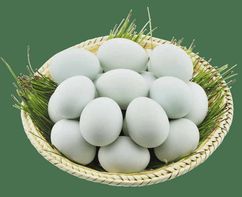 4746ef47ed9c463295894e5093cdcc78.png