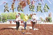 胡杨河光影丨庆丰收迎盛会