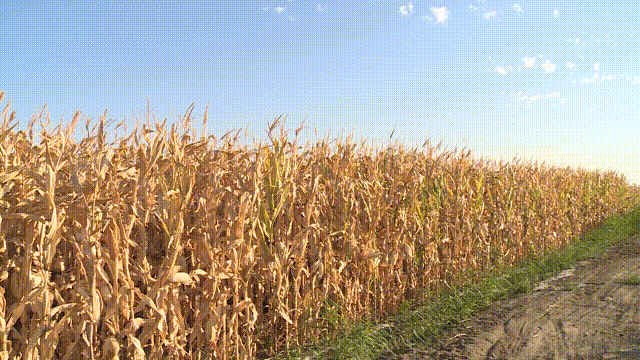 e1acc3da53a74f34969303e95b48ff61.gif