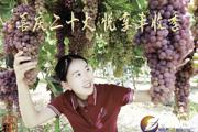 胡杨河光影丨喜庆二十大 悦享丰收季