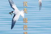 胡杨河光影丨生态优先 绿色发展