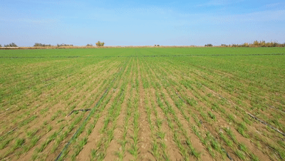 d2a617ae4b5742e0ba696d7a5a9bca6b.gif