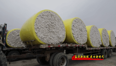 49a4811b5f254a9388d16b27857bbac9.gif