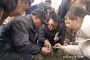 一三〇团召开冬小麦返青期管理现场会