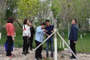 第七师林业和草原局开展辖区林业有害生物 防治情况调查工作