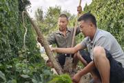一 二八团：特色种植养殖成为乡村振兴新引擎