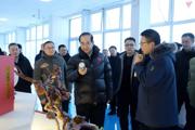 江苏省前指一行来七师胡杨河市调研推进援疆项目