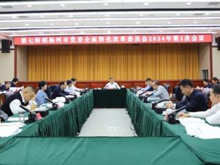 师市党委全面深化改革委员会2024年第一次会议召开
