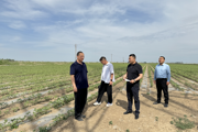 第七师自然资源和规划局扎实做好临时用地复垦验收工作