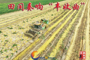 胡杨河光影丨田间奏响『丰收曲』