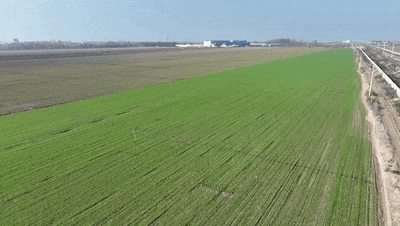 87dc311eb8cf49e3b61a4675ff6ee686.gif