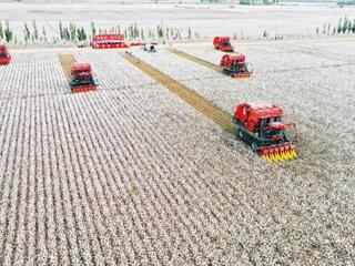平稳向好！七师胡杨河市前三季度地区生产总值同比增长6.9%