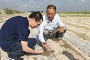 兵团榜样 | 李宝珠： 矢志奋斗只为滴水润良田