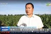 兵团榜样｜陈江鲁：扎根田间地头 助农增产增收