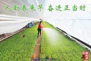 胡杨河光影丨人勤春来早 奋进正当时