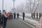 师市林业和草原服务中心开展道路林修剪现场指导 助力城市绿化精细化养护