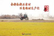 胡杨河光影丨春耕备耕正当时 不负农时生产忙