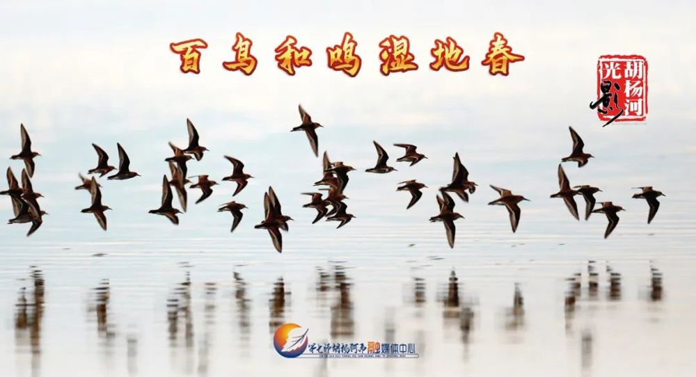 7acaec6dc54d41f0bc6442536efea492.jpg