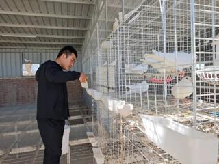 七师胡杨河市：特色养殖铺就致富新路径