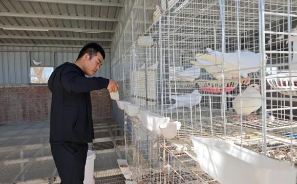 七师胡杨河市：特色养殖铺就致富新路径