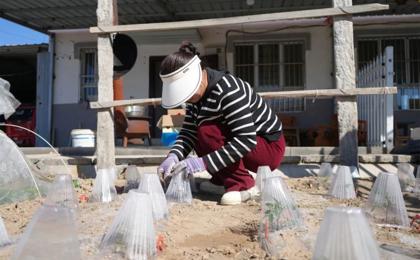 七师胡杨河市：美丽连队绽新颜 幸福家园更宜居