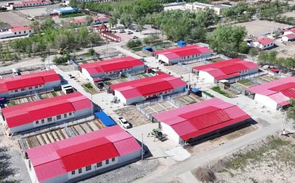 劳模风采丨张连旗：美环境兴产业助增收