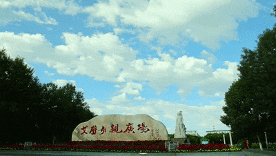 ac956f0a5ca34ba99aa56878345b0e6d.gif