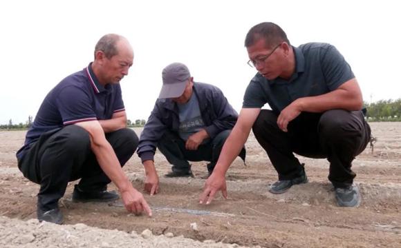 连村共建心连心 “双向奔赴”促发展