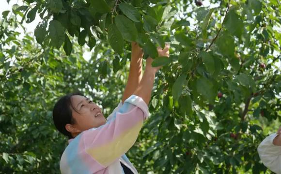 七师胡杨河市特色种植养殖助农业提质增效