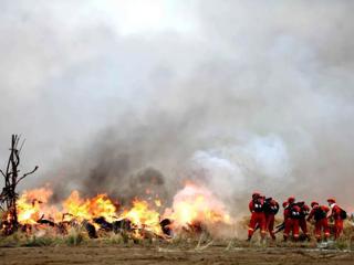 七师胡杨河市2025年秋季兵地森林草原防灭火联合演练成功举办