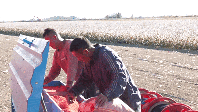 e34ec15a8b42401fbc2634d93e2ebfec.gif