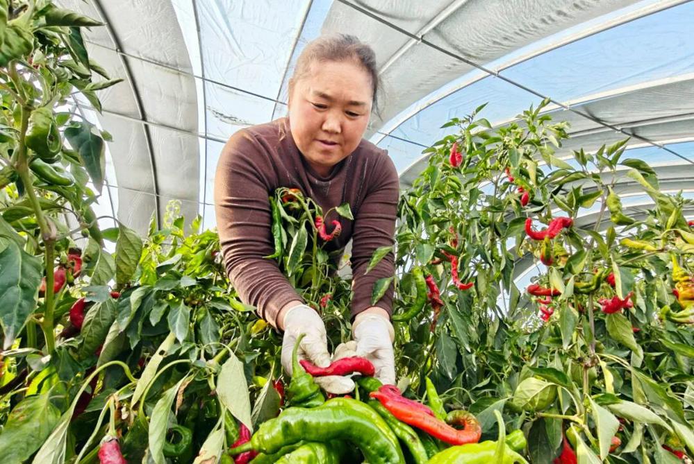 7670030322c5482caceabfd1f20fc27b.jpeg 7670030322c5482caceabfd1f20fc27b.jpeg