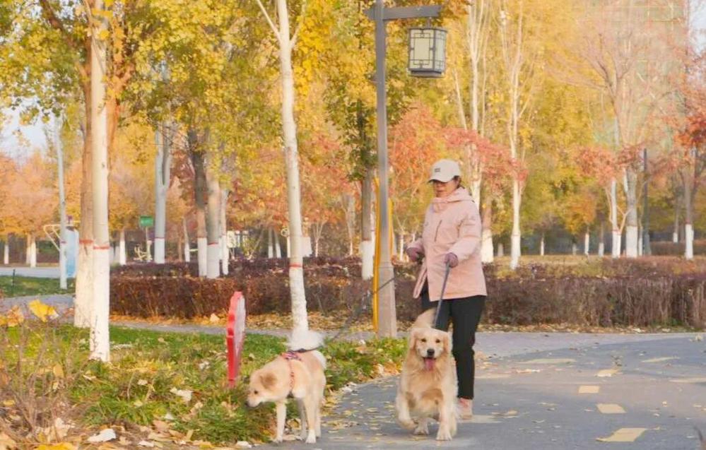 2ba78f0f4d9344db890c33916384fdac.jpeg 2ba78f0f4d9344db890c33916384fdac.jpeg